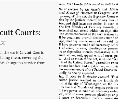 screenshot of The Circuit Courts: A Primer title page